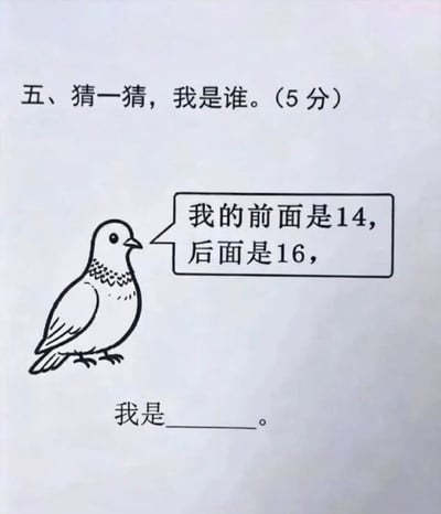这是一张趣味谐音梗梗图，整体模仿小学数学习题的形式设计，顶部标注为第五题“猜一猜，我是谁。（5分）”，左侧绘制了一只线条简单的鸽子，鸽子旁配有对话气泡，内容为“我的前面是14，后面是16”，图片下方留有填空横线，文字为“我是____。”。按照常规数学逻辑，14和16中间的整数是15，结合说话的主体是鸽子，谐音为“鸽（哥）是15”，形成趣味玩梗点，也可作为互动内容让用户作答。该题的正常数学答案为15，谐音梗答案结合鸽子形象可以理解为“哥是我”。