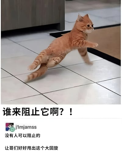 图片中一只橘猫正在瓷砖地面上跳跃，身体呈现出旋转的姿态，似乎正在表演一个"大回旋"动作。图片下方配有文字"谁来阻止它啊？！"，以及用户"j1mjams"的评论"没有人可以阻止的 让哥们好好甩出这个大回旋"，营造出一种幽默搞笑的氛围。