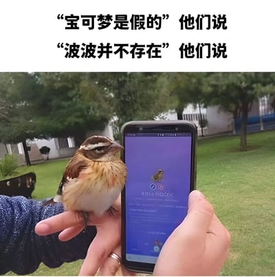 图片上方有两行文字：“宝可梦是假的” 他们说和“波波并不存在” 他们说。图片主体部分显示一只手托着一只小鸟，另一只手拿着智能手机，手机屏幕上显示着宝可梦波波的图鉴信息。现实中的小鸟与宝可梦波波的形象非常相似，形成了有趣的对比和呼应。