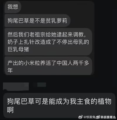 这是一段聊天记录截图，内容是用户的离谱搞笑脑洞：将狗尾巴草拟人成贫乳萝莉，脑补老祖宗将其改造为能产出“小米粒”（指代谷物）的“巨乳母猪”，称这些产出养活了中国人两千多年，还有用户补充狗尾巴草能成为自己的主食。这段内容用低俗又无厘头的拟人化联想，把狗尾巴草和粮食演化强行关联，制造出荒诞的幽默感。