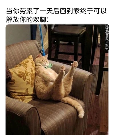 这是一张带有强烈生活共鸣感的静态宠物图，图片上方配有文字“当你劳累了一天后回到家终于可以解放你的双脚：”，图中一只橘色猫咪仰靠在带竖条纹的单人沙发的花纹靠枕上，双眼紧闭，肚皮朝上，两只后腿高高抬起伸直，整个身体放松地瘫在沙发上，姿态慵懒又惬意，完美复刻了打工人劳累一天回到家后彻底放松、解放双脚的慵懒状态，让众多打工人能从中感受到强烈的生活共鸣，用宠物的可爱姿态传递出日常放松的幸福感。