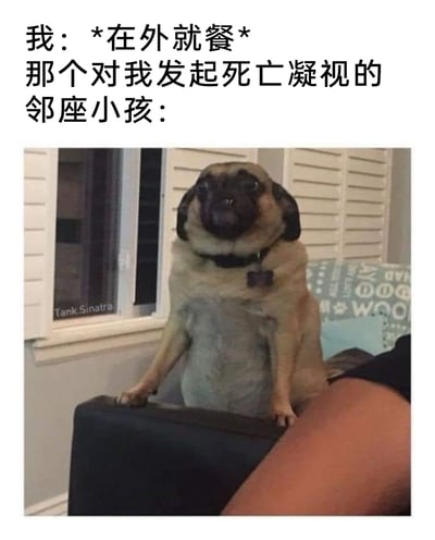 这是一张结合文字与真实宠物照片的搞笑梗图，上方文字构建了“自己在外就餐时，被邻座小孩用死亡凝视盯着”的生活场景，下方选用了一只眼神直勾勾、表情严肃的巴哥犬照片来对应邻座小孩的状态，生动且幽默地还原了在外就餐时遇到这种情况的无奈又好笑的心情，狗狗的严肃凝视完美契合“死亡凝视”的形容，让场景更具趣味性和共鸣感，容易引发有类似经历的网友的共鸣。