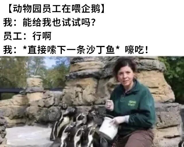 企鹅