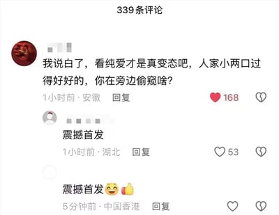这是一张社交平台评论区的截图，顶部显示共有339条评论，第一条热评为安徽网友发布的吐槽言论，将受众观看纯爱作品的行为调侃为偷窥情侣的私人生活，获得168个点赞；下方有两条来自湖北、中国香港网友的回复，均以“震撼首发”进行玩梗回应，其中香港网友的回复还附带了笑脸和点赞的emoji，整体内容通过荒诞的逻辑反差制造笑点，戳中了纯爱作品受众的共鸣。