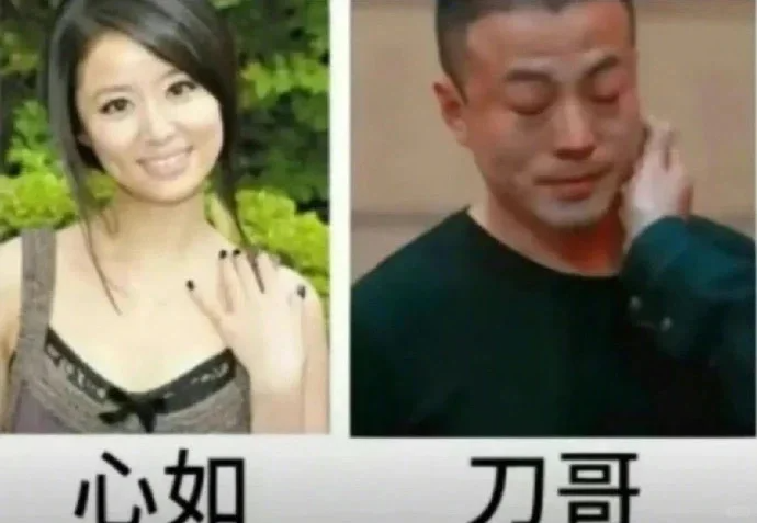 《还珠格格》《情深深雨濛濛》《美人心计》