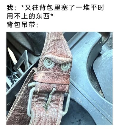 这是一张趣味图文梗图，上方文字描述了主人“又往背包里塞一堆平时用不上的东西”的行为，下方的旧背包吊带因长期使用的磨损纹路、自身的皮扣与固定皮块，恰好组合成了一个眉头紧皱、眼神愤怒的拟人化人脸，仿佛在对主人过度往背包塞物、让自己负重过度的行为表达不满，用这种巧合的拟人化方式，调侃了人们出门时总爱往包里塞进大量无用物品的日常小习惯，充满生活趣味。