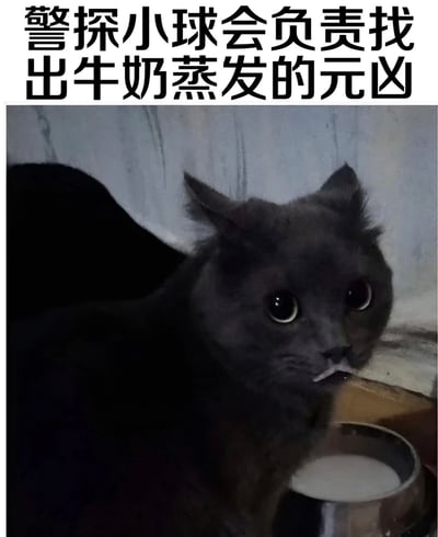 一张幽默宠物梗图，画面主体是一只眼神惊讶的黑色猫咪，正坐在一个装有牛奶的金属碗旁，嘴边还沾着白色的牛奶渍。图片上方配有醒目文字“警探小球会负责找出牛奶蒸发的元凶”，通过拟人化手法将猫咪塑造成“警探”，实则暗示猫咪才是偷偷喝掉牛奶的“元凶”，用“牛奶蒸发”的说法制造反差萌笑点。