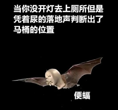 图片上半部分有大字写着："当你没开灯去上厕所但是凭着尿的落地声判断出了马桶的位置"，下方是一只蝙蝠的身体拼贴了人类的头部，并配有文字“便蝠”。这张梗图通过把人比喻成蝙蝠，根据回声定位的特性形象地表达了在黑暗中上厕所靠声音判断马桶位置的情景，整体幽默搞笑。这里“便蝠”是“蝙蝠”与“便（便便/上厕所）”的谐音双关梗，进一步增强了趣味性。