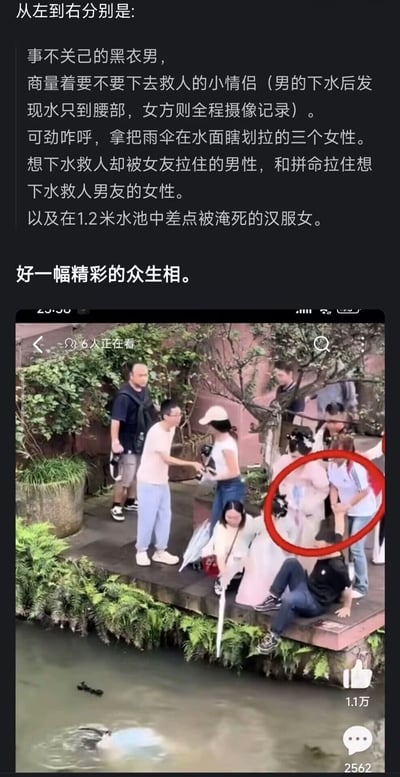 图片展示了一个发生在水池边的戏剧性场景，一位身穿汉服的女子在1.2米深的水池中挣扎，周围有多位围观者呈现出不同反应：有冷漠旁观的黑衣男子，有商量救人的小情侣（男方下水后发现水仅到腰部，女方则全程拍摄），有拿雨伞在水面划拉的咋呼女性，还有想救人却被女友拉住的男性及拼命拉住男友的女性。整个场景被网友调侃为'精彩的众生相'，充满了现实讽刺意味。
