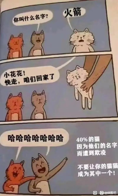 这是一幅三格连环卡通漫画：第一格中，橘猫和灰猫好奇地询问白猫名字，白猫一脸嚣张地回答“火箭”；第二格中，一只人类的手将白猫抱起，喊着它的本名“小花花！快走，咱们回家了”，白猫瞬间变得委屈低落；第三格中，橘猫和灰猫指着白猫狂笑，画面右下角配有文字“40%的猫因为他们的名字而遭到欺凌 不要让你的猫猫成为其中一个！”，用夸张的剧情制造名字反差的笑点，以戏谑的方式调侃给宠物起名的趣事，看似正经的提示更增添了喜剧效果。