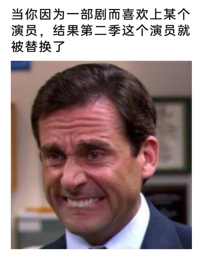 这是一张用于抒发追剧负面情绪的表情包，采用图文结合的形式。上方配文精准描述了追剧时的一种糟心场景：观众因为一部剧喜欢上某个演员，结果在第二季该演员被替换；下方搭配美国情景喜剧《办公室》中角色迈克尔·斯科特的面部特写截图，他眉头紧皱、脸部肌肉扭曲，露出痛苦又抓狂的表情，将观众遇到这种情况时的崩溃、难受又无奈的情绪生动地展现了出来。