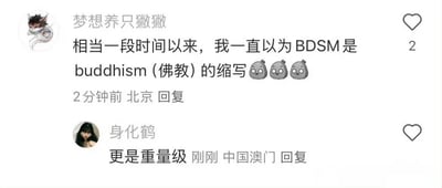 这是一张社交媒体评论截图，展示了两位用户的搞笑对话。用户"梦想养只撇撇"分享了自己长期以来的误解：一直以为BDSM是"buddhism（佛教）"的缩写，并配上了三个困惑的表情符号。另一位用户"身化鹤"则用"更是重量级"来幽默回应这个令人捧腹的误解。整个截图呈现了典型的网络幽默风格，通过缩写混淆制造笑点。