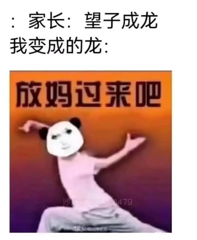 这是一张充满自嘲与反差感的网络搞笑梗图，上方文字分为两部分，第一部分“家长：望子成龙”，传递出家长希望孩子成才、有所作为的普遍期待；第二部分“我变成的龙：”引出下方的合成表情包。图中是将熊猫头人脸与人物身体合成的形象，人物摆出身体倾斜、张开双臂的夸张姿势，上方配文“放妈过来吧”，是谐音“放马过来”的梗，通过谐音替换制造出强烈的反差效果，调侃自己没有成为家长期待中优秀的“龙”，反而摆出破罐破摔、摆烂的姿态回应家长的期待，用搞笑的方式消解亲子间的期待落差，充满自嘲趣味。