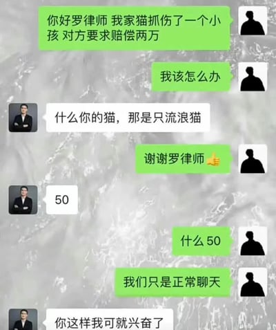 这是一张模拟法律咨询场景的搞笑聊天记录梗图。绿色气泡为用户提问：家猫抓伤小孩，对方索赔两万元，向罗律师求助解决方案。白色气泡中罗律师先“支招”称“那是只流浪猫”，用户感谢后律师突然发送“50”，引发用户疑惑“什么50”并强调“我们只是正常聊天”，律师则以“你这样我可就兴奋了”进行幽默收尾。整图通过法律咨询中的意外转折和误解制造喜剧效果，调侃了不实法律咨询或律师收费的幽默场景。
