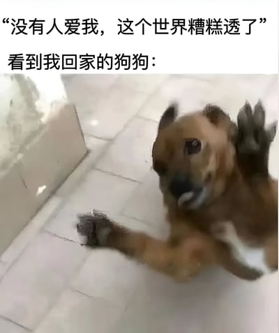 图片上方配有文字“没有人爱我，这个世界糟糕透了”，表达一种消极情绪；下方则是一只棕色狗狗兴奋地迎接主人回家的照片，形成鲜明对比，用宠物的热情治愈负面情绪。