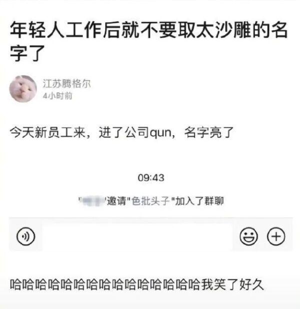 猫咪头像