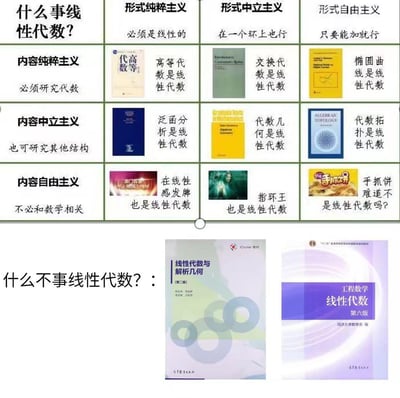 这是一张关于线性代数定义的幽默分类图，采用网格布局展示了不同"主义"对线性代数的界定。上半部分分为形式纯粹主义、形式中立主义、形式自由主义等类别，从严格到宽松定义什么可称为线性代数。下半部分则展示了各种书籍封面，幽默地将泛函分析、代数几何甚至与数学无关的内容都归为线性代数。最底部展示了两本真正的线性代数教材，提出"什么不事线性代数?"的反问，形成有趣对比。