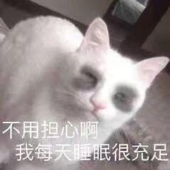 这是一张经过P图改编的搞笑表情包，图中的白色猫咪眼部被P上了浓重的黑眼圈，它半睁着一只眼，神态看起来十分疲惫萎靡，下方配文“不用担心啊 我每天睡眠很充足”，用状态与文字的强烈反差制造出搞笑效果，精准调侃了明明睡眠不足却嘴硬自己休息充分的状态，没有双关、谐音梗等内容。