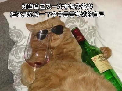 一只橘猫戴着墨镜，靠在沙发上怀里抱着一瓶酒，还拿着红酒杯，摆出一副很颓废又自得其乐的样子。上方配文表达了考试虽然又答得很烂，但依然心疼和慰劳自己的心情。该图幽默表现了年轻人“摆烂”和自我宽慰的心理，画面和文案形成反差，令人忍俊不禁。没有双关或暗示。
