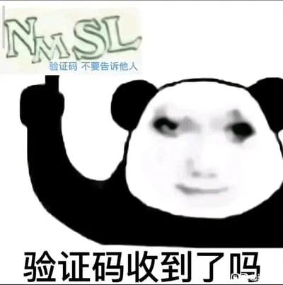 这是一张恶搞性质的网络表情包，将低俗脏话的拼音缩写“NMSL”设计成验证码的形式，搭配“验证码 不要告诉他人”的提示语，下方是换脸的熊猫头形象，它面带欠揍的微笑，举起一根手指，配文“验证码收到了吗”，以假装发送验证码的玩笑方式，用脏话调侃对方，多用于好友之间的互怼、玩梗场景，风格戏谑搞笑。