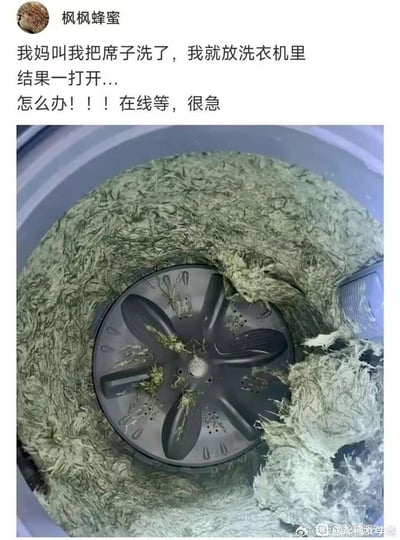 社交媒体用户“枫枫蜂蜜”分享的家务翻车现场：妈妈让洗席子，TA直接放进洗衣机，结果打开后席子被搅成碎片，洗衣机内桶塞满绿色纤维状物质，配文“怎么办！！！在线等，很急”，引发搞笑又无奈的共鸣。
