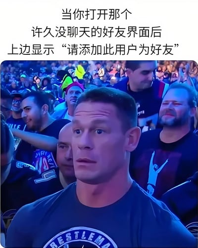 图片上半部分为文字描述：“当你打开那个许久没聊天的好友界面后上边显示‘请添加此用户为好友’”，下半部分是一张在拥挤场馆（疑似摔跤赛事现场）中的照片，前景中一名穿着印有“WRESTLEMANIA”字样T恤的男子表情震惊，眼神中充满意外，生动展现了发现自己被许久未联系的好友删除好友关系时的错愕反应。