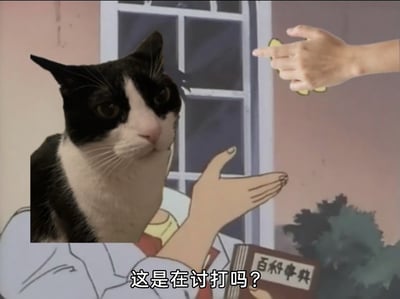 这是一张经过P图改编的合成搞笑梗图，创作者将一只黑白奶牛猫的脸替换了日本动画《蜡笔小新》中角色的头部，动画角色的身体摊开手掌，画面右侧有一只手用食指和中指做出类似弹脑门的手势指向它，角色手边还摆放着一本写有“百科事典”的书籍，图片底部配有白色字幕“这是在讨打吗？”，整体画面传递出疑惑又略带不满的情绪，常用于吐槽对方的行为像是在挑衅找打。