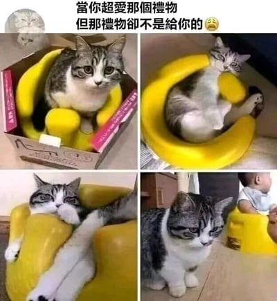 这是一组四格连环拼接图，通过一只灰白花纹猫咪的状态变化，演绎了期待落空的失落情绪。第一张图中，猫咪坐在刚拆封的黄色儿童座椅内，眼神带着期待与欣喜；第二张图里它惬意地半躺在座椅中，姿态放松；第三张图它将双腿搭在座椅扶手上，一脸享受；第四张图中猫咪垂头丧气地坐在地面，旁边的黄色座椅上坐着一个小宝宝。搭配顶部的文字“当你超爱那个礼物但那礼物却不是给你的😫”，以拟人化的方式，把猫咪对座椅的喜爱，到发现座椅是给宝宝的那种失落感表现得淋漓尽致，精准戳中人们那种心仪之物不属于自己的共情点，用宠物的可爱反差制造搞笑又暖心的效果。