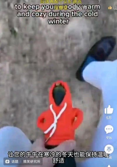 这是一张抖音平台的搞笑短视频截图，画面中一只手拿着一件迷你的红色连帽外套，外套带有白色抽绳，造型模仿日常的连帽卫衣。画面上方配有英文文本“to keep you warm and cozy during the cold winter”以及网友评论“应该再配个文化迪克”，下方则用中文配文“让您的牛牛在寒冷的冬天也能保持温暖舒适”，将这件迷你外套调侃成给男性生殖器（俗称“牛牛”）准备的保暖衣物，用无厘头的创意制造搞笑效果。画面右侧显示抖音平台的互动数据：5万点赞、916条评论、714次收藏，底部还有“搞笑研究所”的话题标签，整体内容充满趣味，吸引网友互动。