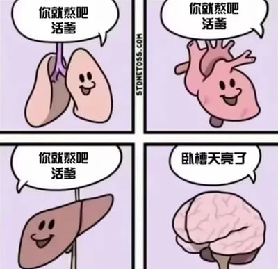 这是一幅四格连环卡通漫画，采用拟人化的创作手法，将人体的肺、心脏、肝脏、大脑赋予人类的表情和语言，以此调侃熬夜这一常见生活场景。前三格中，肺、心脏、肝脏都面带微笑，配文均为“你就熬吧 活爹”，表现出这些器官在熬夜过程中默默承受的状态；第四格的大脑则露出惊讶的神情，配文“卧槽天亮了”，展现出大脑后知后觉发现已经熬夜到天亮的反差感，用幽默的方式讽刺了人们熬夜时身体器官和大脑的不同反应，引发共鸣。