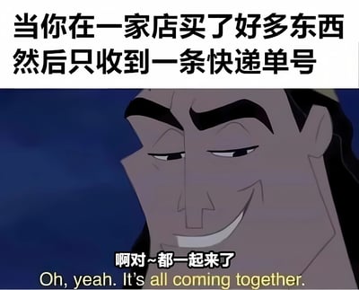 图片上半部分为黑色文字“当你在一家店买了好多东西然后只收到一条快递单号”，下半部分是动画《功夫熊猫》中师父的特写镜头，角色面带了然的微笑，下方配有中文字幕“啊对~都一起来了”及英文字幕“Oh, yeah. It's all coming together.”，整体通过角色的表情和文字结合，调侃网购时购买多件商品却只收到一个快递单号的常见场景。