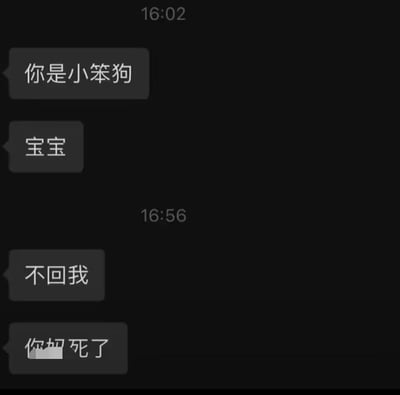 这是一段即时通讯软件的聊天记录截图，16:02时消息发送方先发送了亲昵的调侃话语：“你是小笨狗”“宝宝”，在等待54分钟后仍未收到回复，发送方的情绪从期待转为不满，接连发送“不回我”以及带情绪的气话（部分内容被打码），生动展现了亲密关系里，一方因另一方不回消息产生的小情绪，是很生活化的情侣/亲密伙伴间的互动场景，无谐音梗、双关等特殊表达。