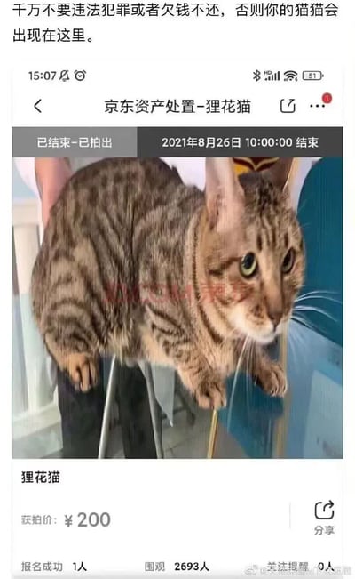 这是一张二次创作的搞笑梗图，属于图文混排形式，顶部为网友创作的玩梗警示文字，下方是真实的京东资产处置页面截图：一只狸花猫被作为司法处置的资产进行拍卖，最终以200元的价格拍出，有2693人围观了这场拍卖，图中的狸花猫被人拎起，神情茫然，和配文结合形成了荒诞的搞笑效果，用来调侃如果违法或者欠钱不还，个人名下的所有财产包括宠物都会被处置。
