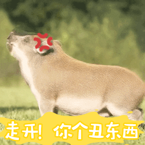 小香猪被骂丑东西后学狗叫反击
