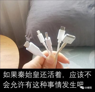 这张图展示了一只手握着五种不同规格的电子设备充电线，分别为Type-C、Lightning、DC圆孔、Micro-USB、苹果老款30针接口，这些接口样式各异，互不通用。图片底部配有文字“如果秦始皇还活着，应该不会允许有这种事情发生吧”，借用秦始皇统一六国后统一度量衡、文字等历史典故，调侃当前电子设备充电接口规格混乱，给消费者带来使用上的不便，表达了大众希望充电接口能够统一的普遍诉求，用幽默的方式引发用户共鸣。