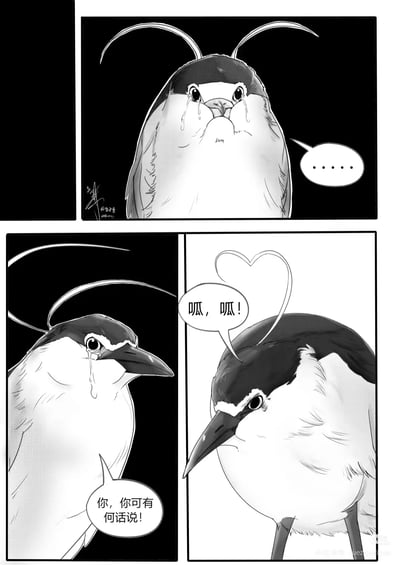 四格黑白漫画，以鸟类角色演绎“苦命鸳鸯”梗。第一格（右上）：一只头顶有长羽的鸟双眼含泪，对话框显示“...”；第二格（左下）：另一只流泪的鸟转头质问，配文“你，你可有何话说！”；第三格（右下）：回应的鸟在心形对话框中发出“呱，呱！”的叫声。整体风格悲伤中带幽默，通过将原梗中董卓与吕布的悲剧恋人形象替换为鸟类，保留经典对话框架的同时增加了动物拟人化的趣味性。