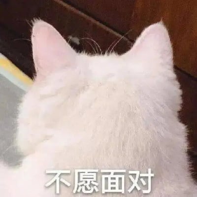 一张白猫背影的照片，猫咪正背对镜头，看不到面部表情。图片底部有文字'不愿面对'，通过猫咪背对的姿态与文字结合，形成一种拟人化的情绪表达，常用于形容不想面对某些事情或情况的无奈心情。