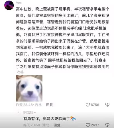 该图是一张社交媒体内容截图，顶部是用户名为Vex的用户发布的动态，内容为其分享的高中住校时期躲避宿管查手机的社死经历：半夜蒙在被子里玩手机时遇宿管查寝，为了藏手机情急之下将手机塞进裤兜用屁股夹住，伸手掏东西时误掏出衣钩，索性假装在自慰，宿管掀开他的被子用手电照他时，他还装作被惊醒的样子继续手上的动作，把宿管气得笑着给他盖上被子离开，他还故作强硬放狠话撑面子。动态下方配了一张眼神茫然无辜的小狗表情包，进一步放大了内容的搞笑效果。截图还包含其他用户的评论，调侃该经历“有勇有谋，就是太吃脸面了”，两条内容分别收获了数千点赞。