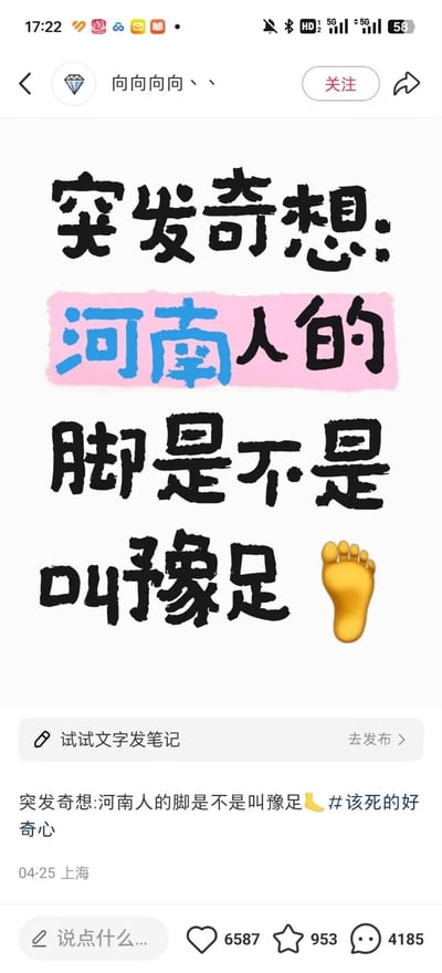 社交媒体用户“向向向向丶丶”发布的一条搞笑内容，主文为“突发奇想：河南人的脚是不是叫豫足”，其中“豫”为河南省的简称，与“足”（脚）结合形成谐音梗“豫足”。配图文字采用黑色粗体，“河南人的”四字用粉色背景高亮，右侧配有黄色脚形emoji。帖子发布于04-25上海，互动数据显示有6587点赞、953收藏、4185评论，附带话题标签“#该死的好奇心”。