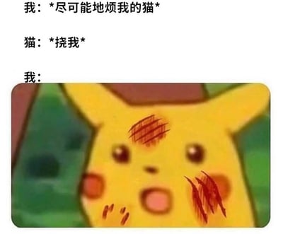 这是一张幽默梗图，展示了一个人故意烦猫后被猫抓伤的搞笑后果。图片上方文字写着“我：*尽可能地烦我的猫*”，中间是“猫：*挠我*”，下方是“我：”并配有一张皮卡丘脸上带有明显抓痕的图片，用宝可梦角色生动形象地表现了被猫抓伤后的状态。