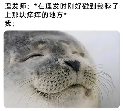 这是一张幽默反应梗图，上方文字描述了理发时理发师不小心碰到脖子痒痒肉的场景，下方配有一张海豹闭眼享受的照片，用海豹舒适的表情来夸张表现人被碰到痒痒肉时的微妙反应。通过动物表情与人类日常体验的结合，创造出轻松搞笑的效果。