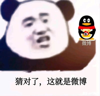 这是一张经过二次创作的网络梗图，主体是经典的熊猫头表情包，面部呈现出戏谑调侃的表情；画面右侧是腾讯的企鹅形象，它抱着微博的图标，下方标注“微博”字样；图片底部配有文字“猜对了，这就是微博”。该图通过将腾讯企鹅与微博品牌形象结合的反差感，制造出调侃互联网平台的趣味效果，属于在社交平台流传的玩梗表情包，用来引发网友对相关互联网话题的趣味讨论。