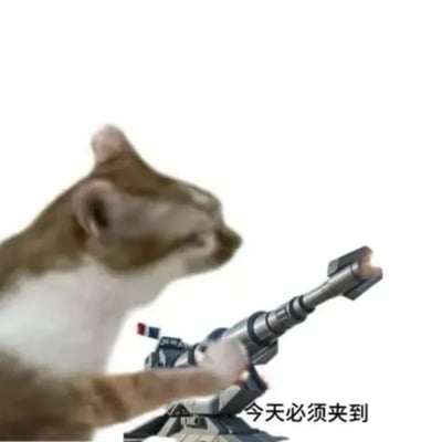 这张梗图展示了一只猫伸出爪子，像是在操作一门巨大的炮台，炮口还冒着火光，画面右下角写有“今天必须买到”。猫咪的举动表现得很执着、全力以赴，非常适合用来形容购物时冲动下单或者绝不放弃的心态。此外，“买到”和“打到”在中文中有点谐音，带来某种双关趣味感。通常在购物节、晒战绩或冲动消费场景下流行。