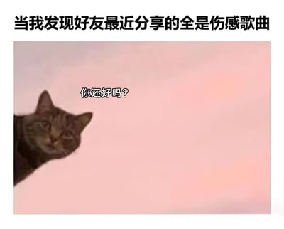 图片上方配有文字“当我发现好友最近分享的全是伤感歌曲”，下方是一只橘猫从画面左侧探出头，背景为柔和的粉色渐变，猫的前方有对白文字“你还好吗？”。整体通过猫咪关切的姿态和文字结合，幽默地表达了发现好友情绪低落时的关心之情。