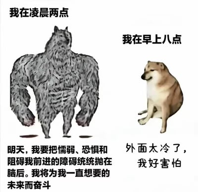 这张梗图用两只不同姿态的狗狗形象，分别代表深夜和清晨时分自己的状态。左边是一只肌肉发达且气势汹汹的狼狗（Dogecoin变体），配以豪言壮语，象征午夜时分充满斗志，自信满满。右边是一只坐着的柴犬，表情呆萌配上弱弱的句子，形象反差极大，夸张表现了清晨起床时的无助和害怕心理。整体充满自嘲和现实生活的反差感，很契合“深夜立Flag，白天泄气”这一网络现象。

**暗示与双关梗说明**：对比深夜的膨胀和白天的软弱，暗讽“夜晚踌躇满志，早晨一事无成”现象。没有明显的谐音梗。