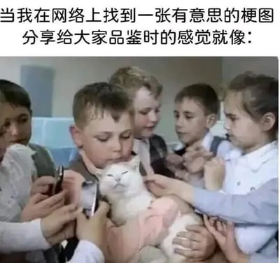 图片上方配有文字'当我在网络上找到一张有意思的梗图 分享给大家品鉴时的感觉就像：'，下方是一张照片：几名儿童围着一只被抱着的白色猫咪，有的孩子伸手抚摸猫咪，猫咪表情看起来有些无奈又平静。整体通过比喻，将分享梗图时希望得到大家关注和反馈的心情，比作被众人围观的猫咪，带有幽默和自嘲的意味。