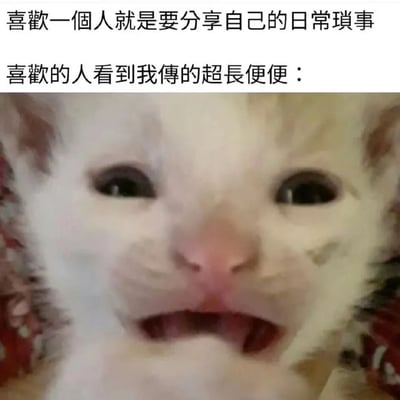 图片上方有两行中文文字："喜歡一個人就是要分享自己的日常瑣事"和"喜歡的人看到我傳的超長便便："，下方是一张白色猫咪的特写照片。猫咪有着大大的眼睛和微微张开的嘴巴，表情看起来有些惊讶或困惑，形成一种幽默的对比效果。