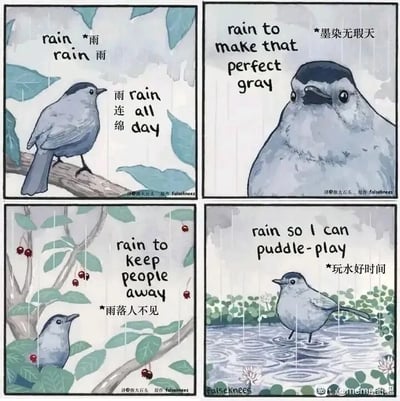 这是一幅四格连环卡通漫画，主角是一只灰色小鸟，围绕雨天展开不同的心境与状态：第一格中，小鸟站在湿漉漉的树枝上，配文重复“rain”与“雨”，点明“雨连绵”的雨天状态；第二格小鸟仰头望向天空，配文将雨天的灰色天空形容为“墨染无瑕天”，展现出对雨天天色的欣赏；第三格小鸟躲在枝叶茂密的树枝间，配文“雨落人不见”，表现出雨天无人打扰的安心感；第四格小鸟欢快地踩在水洼中，配文“玩水好时间”，直白地表达出享受雨天玩水的快乐。漫画采用中英文对照的配文方式，中文译句富有诗意，整体氛围治愈，传递出从接纳雨天到享受雨天的小确幸。