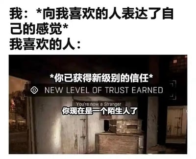 这是一张图文结合的搞笑梗图，分为上下两部分，上方文字设定场景：“我：*向我喜欢的人表达了自己的感觉* 我喜欢的人：”，下方搭配改编自游戏《逃离塔科夫》的信任等级提升提示界面：先显示“*你已获得新级别的信任*”“NEW LEVEL OF TRUST EARNED”，看似是好感度提升，实际下方给出的等级说明是“You're now a Stranger 你现在是一个陌生人了”，用游戏升级的形式反讽向心仪对象表白后，非但没有拉近距离，反而被对方彻底疏远、变成陌生人的尴尬处境，笑点源于预期和现实结果的强烈反差。