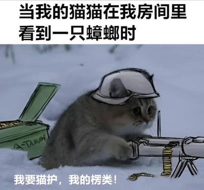 图片上方配有文字“当我的猫猫在我房间里看到一只蟑螂时”，主体画面是一只戴着白色头盔的灰色猫咪，趴在类似雪地的环境中（可能是床铺），前爪紧握一挺机枪，旁边放着一个绿色的箱子，箱子上有模糊的“A-TARVIE”字样。图片底部有文字“我要猫护，我的楞类！”，其中“猫护”谐音“保护”，“楞类”可能是“同类”的俏皮化表达，整体通过拟人化和夸张的军事装备，幽默展现猫咪面对蟑螂时的“战斗姿态”，充满反差萌和搞笑效果。
